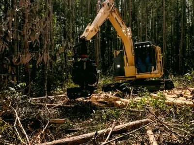 Land Clearing Services Chicago in Chicago